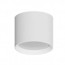 Потолочный светильник Arte Lamp Intercrus A5548PL-1WH